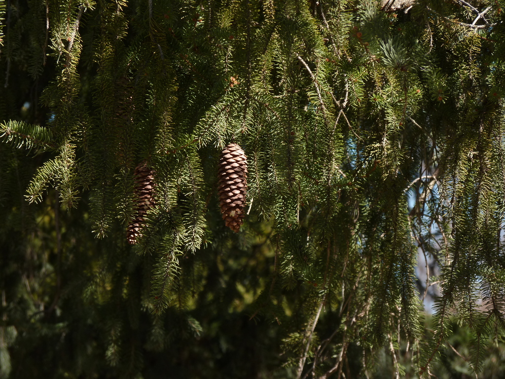 No s'ha trobat l'arxiu
